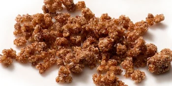 Kontinuierliche Agglomeration von Pulvern mit Flexomix-Technologie