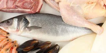 Verfahrensanlagen für die Verarbeitung von tierischen Proteinen