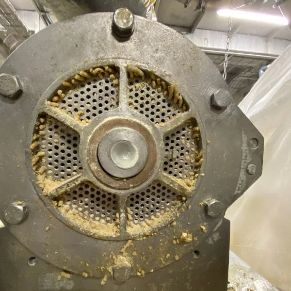 Pilotversuche zur Extrusion pflanzlicher Proteine